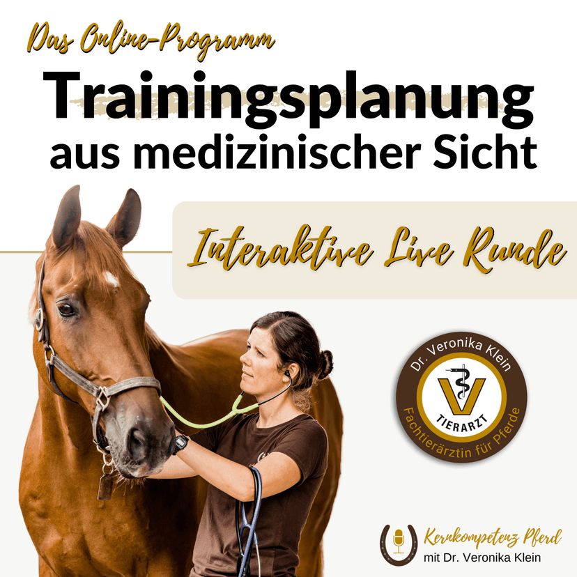 Medizinischer Trainingskurs