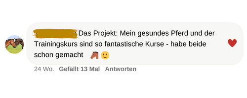 Social Media Kommentar