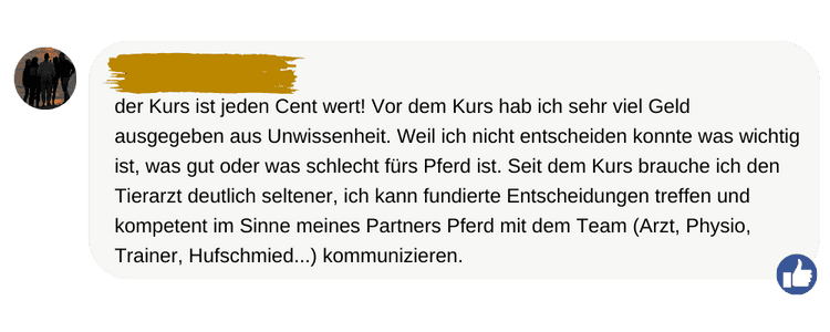 Social Media Kommentar