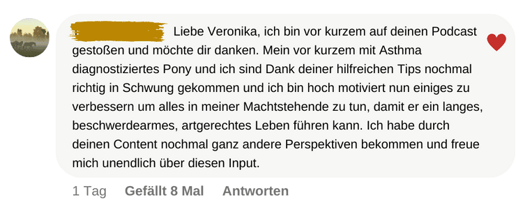 Social Media Kommentar