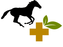 Bonus-Kapitel von Anne