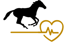 Lebensrettende Hilfe