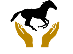 Wertvolle Unterstützung