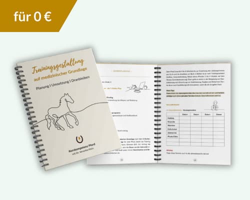 Das Mini-Trainingstagebuch