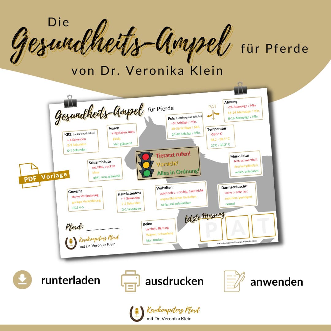 Der Spickzettel für dein Pferd