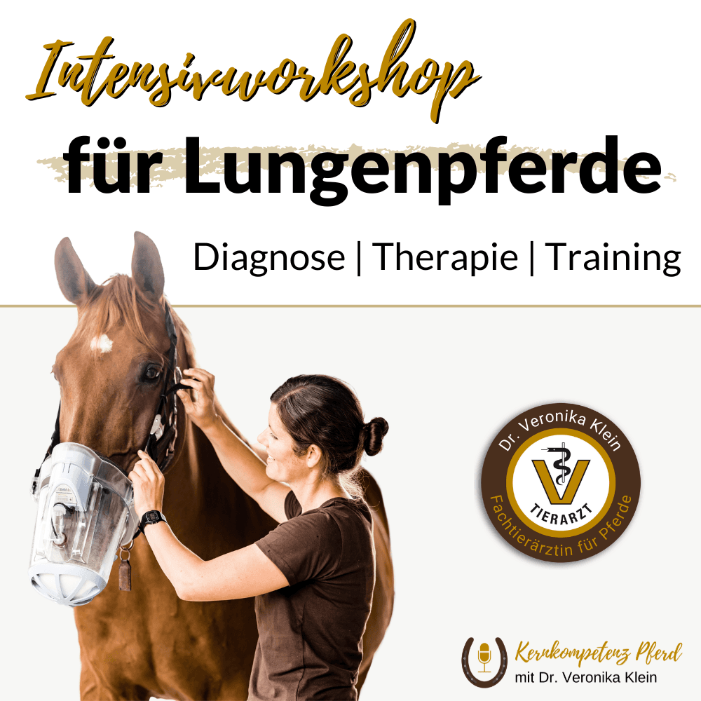 Hilfe, mein Pferd hustet
