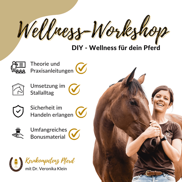 DIY Wellness-Workshop