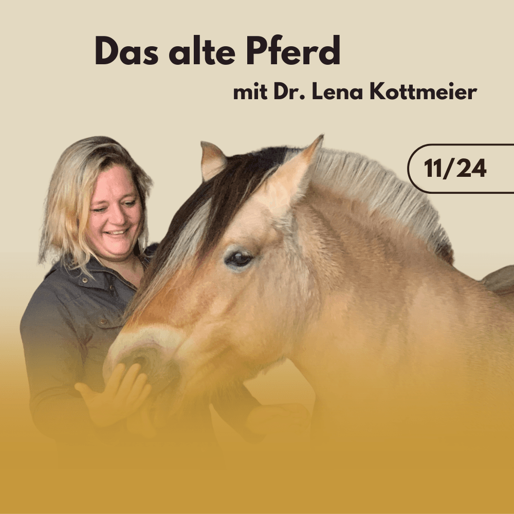 Das alte Pferd mit Gast-Expertin Dr. Lena Kottmeier