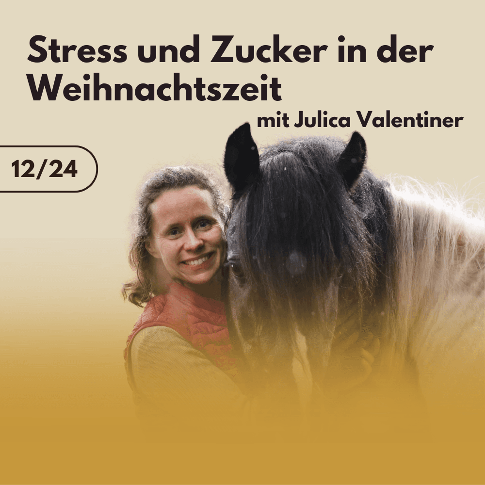 Stress und Zucker in der Weihnachtszeit