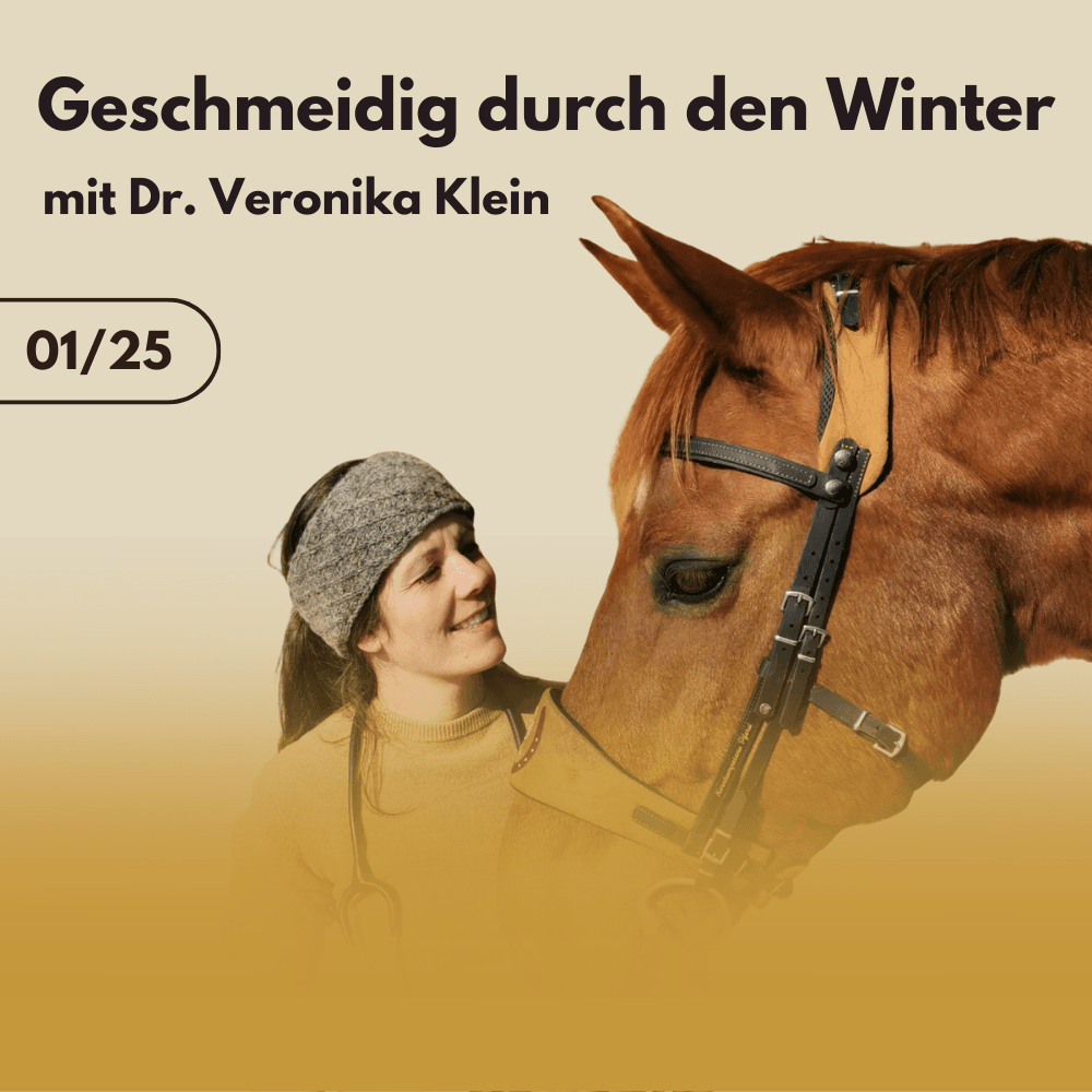 Geschmeidig durch den Winter – Massage, Mobilisation, Akupressur