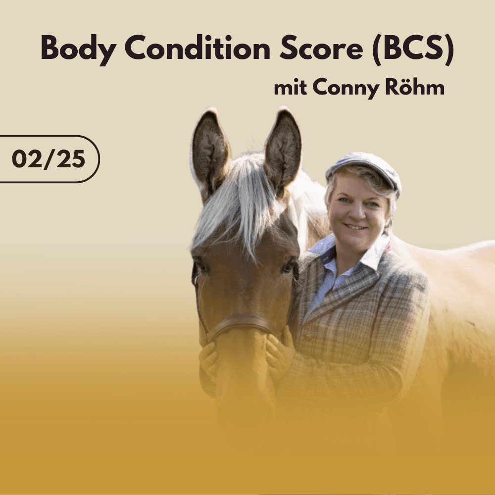 Body Condition Score mit Gastexpertin Conny Röhm