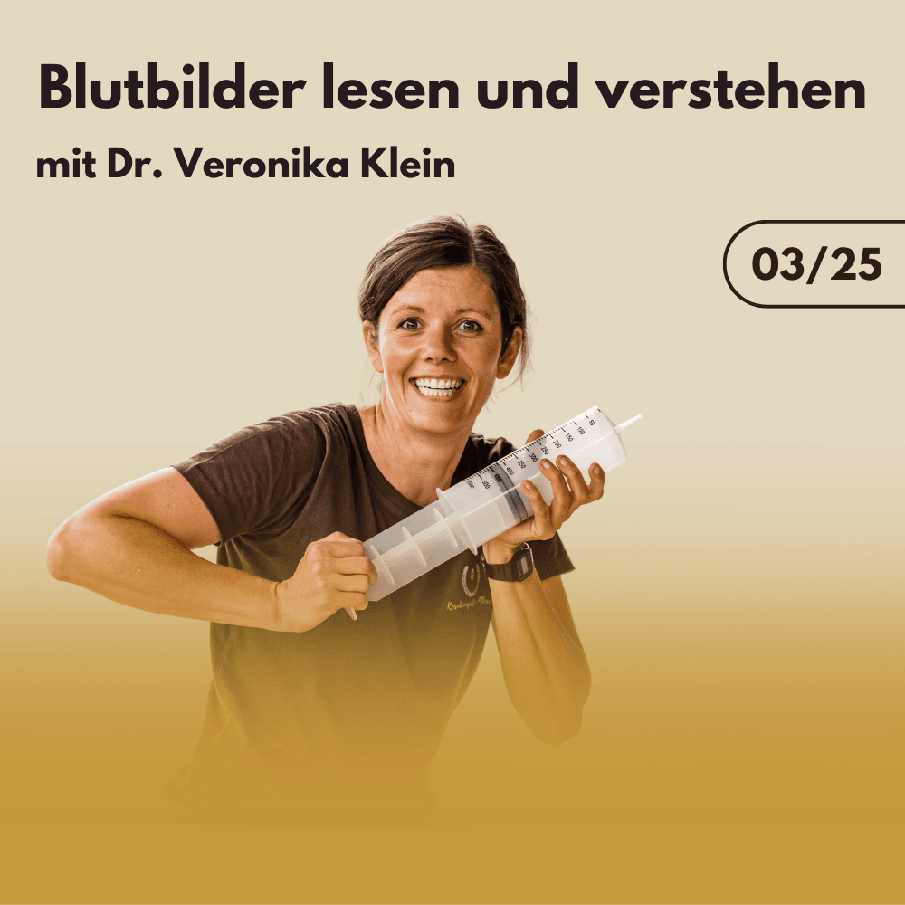 Blutbilder lesen und verstehen mit Dr. Veronika Klein