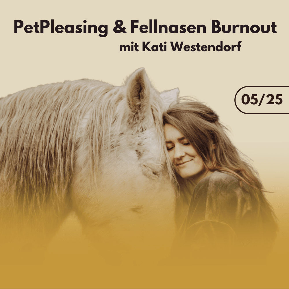 PetPleasing & Fellnasen Burnout mit Kati Westendorf