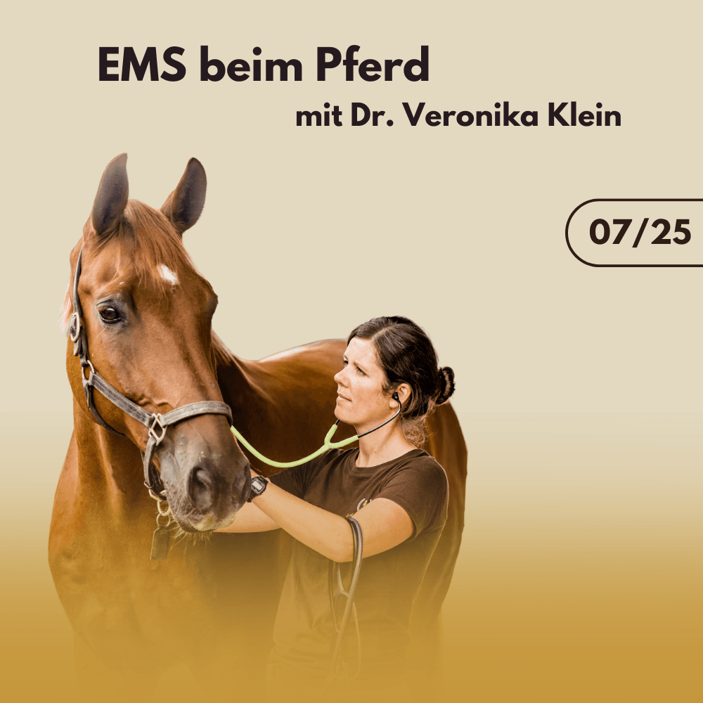EMS beim Pferd mit Dr. Veronika Klein