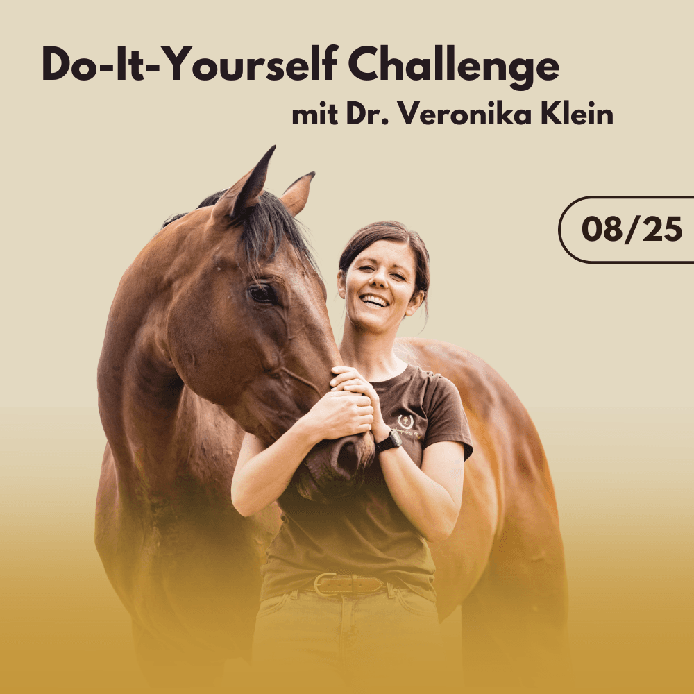 Do it yourself Challenge mit Dr. Veronika Klein