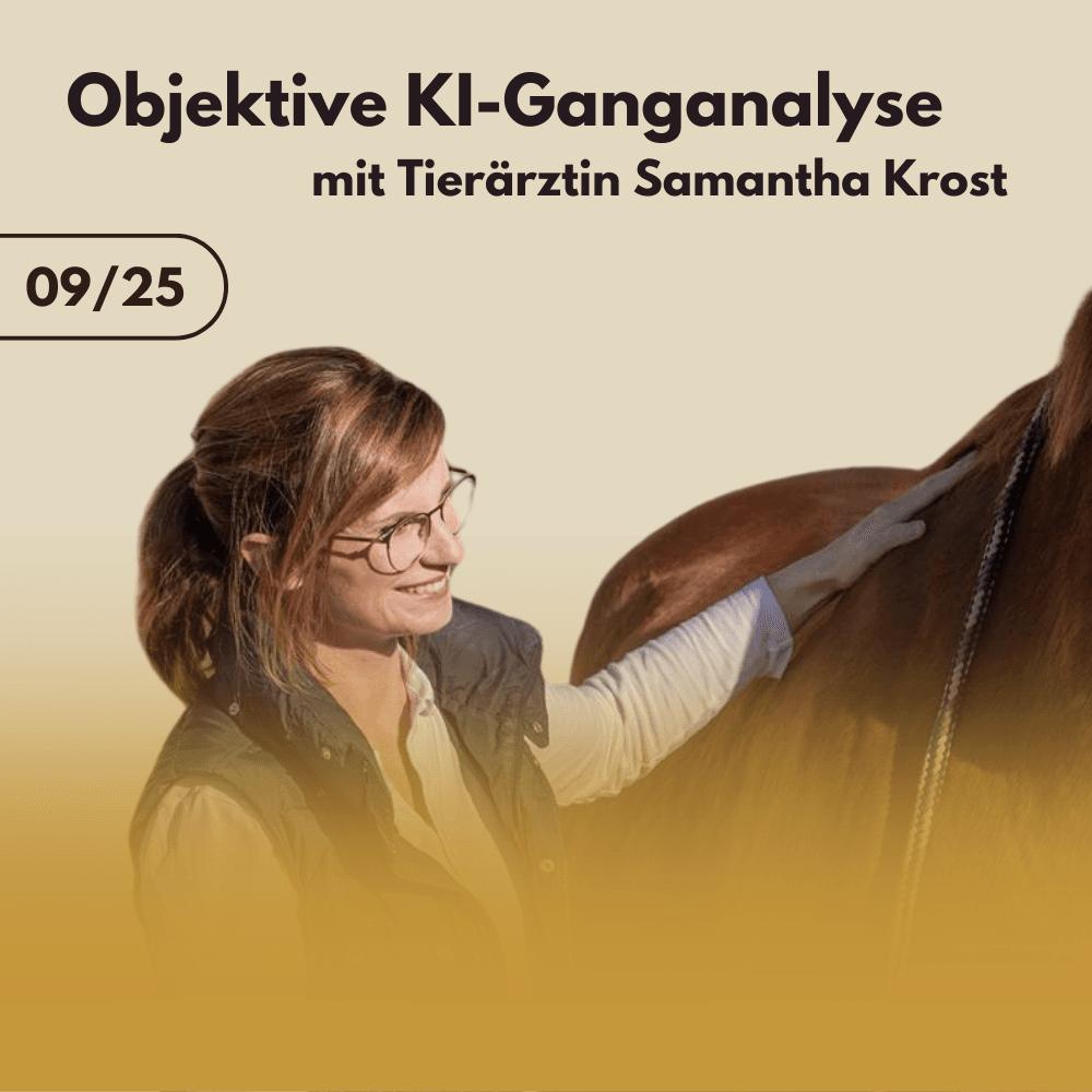 Objektive Ganganalyse mit Tierärztin Samantha Krost