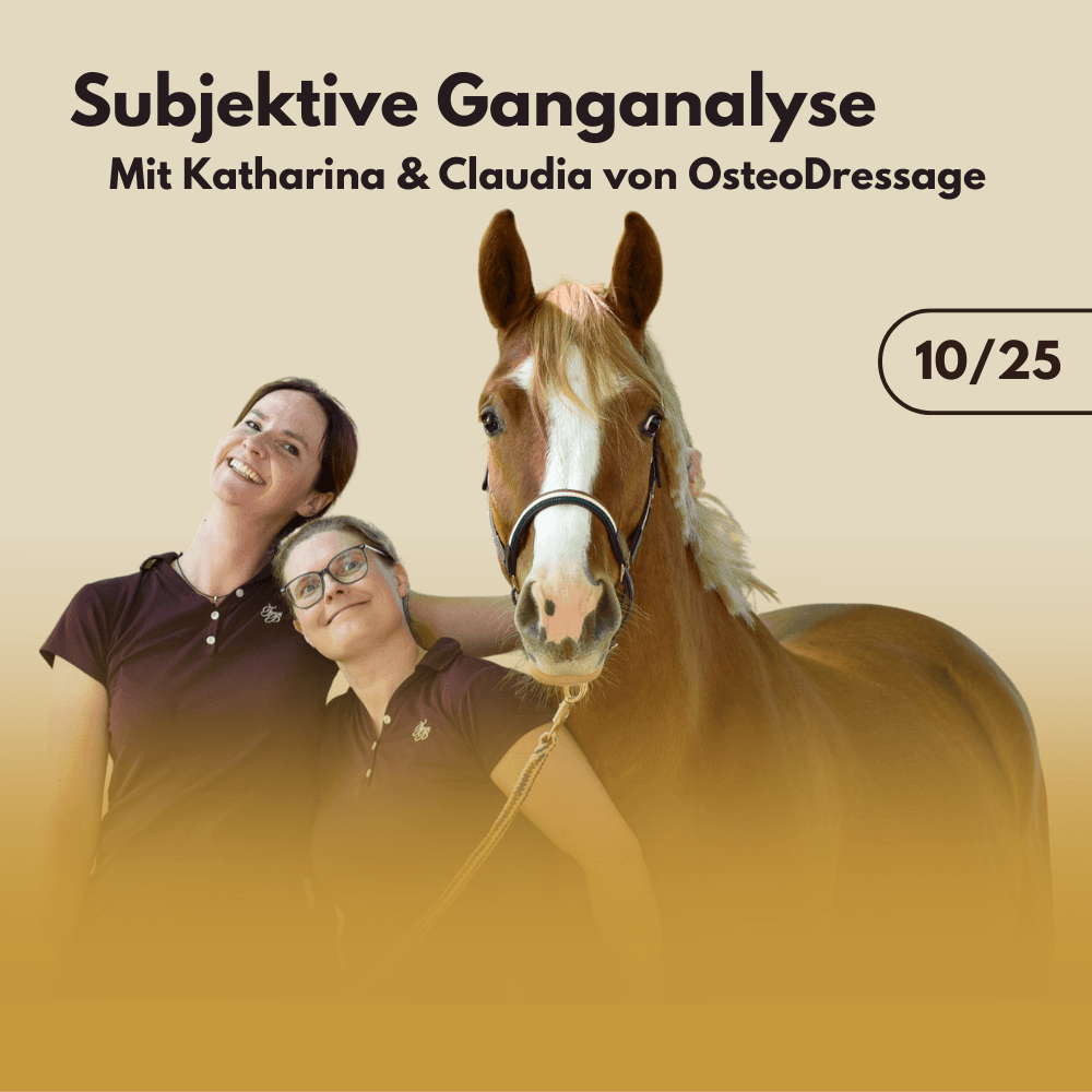 Subjektive Ganganalyse mit Katharina & Claudia von OsteoDressage