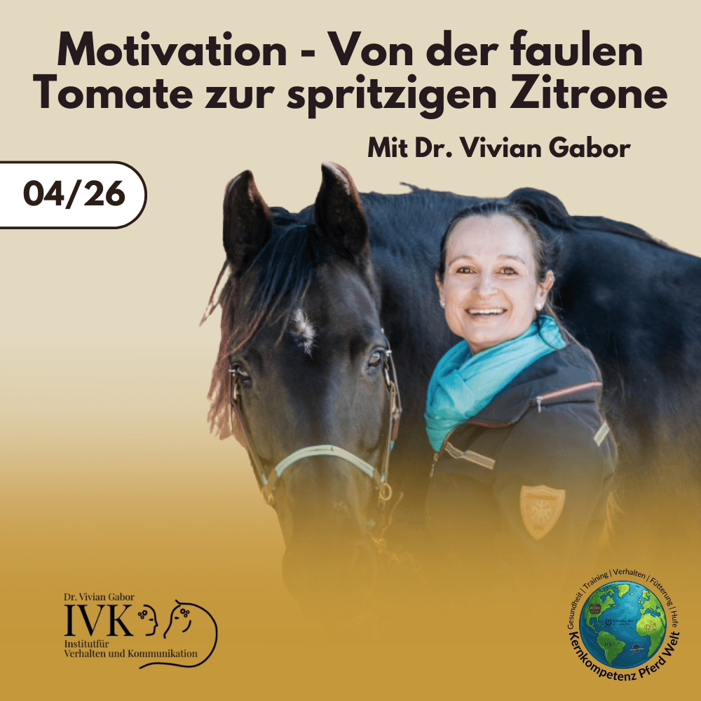 Motivation – von der faulen Tomate zur spritzigen Zitrone mit Dr. Vivian Gabor