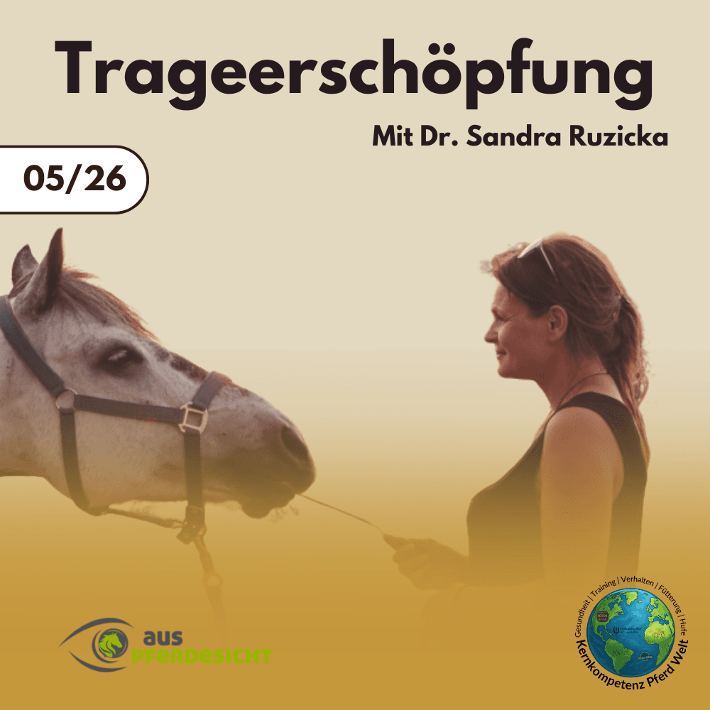 Trageerschöpfung mit Dr. Sandra Ruzicka