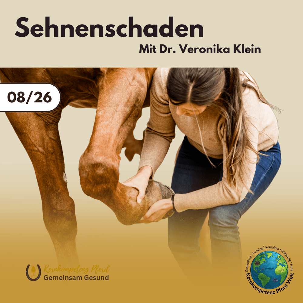 Sehnenschaden mit Dr. Veronika Klein
