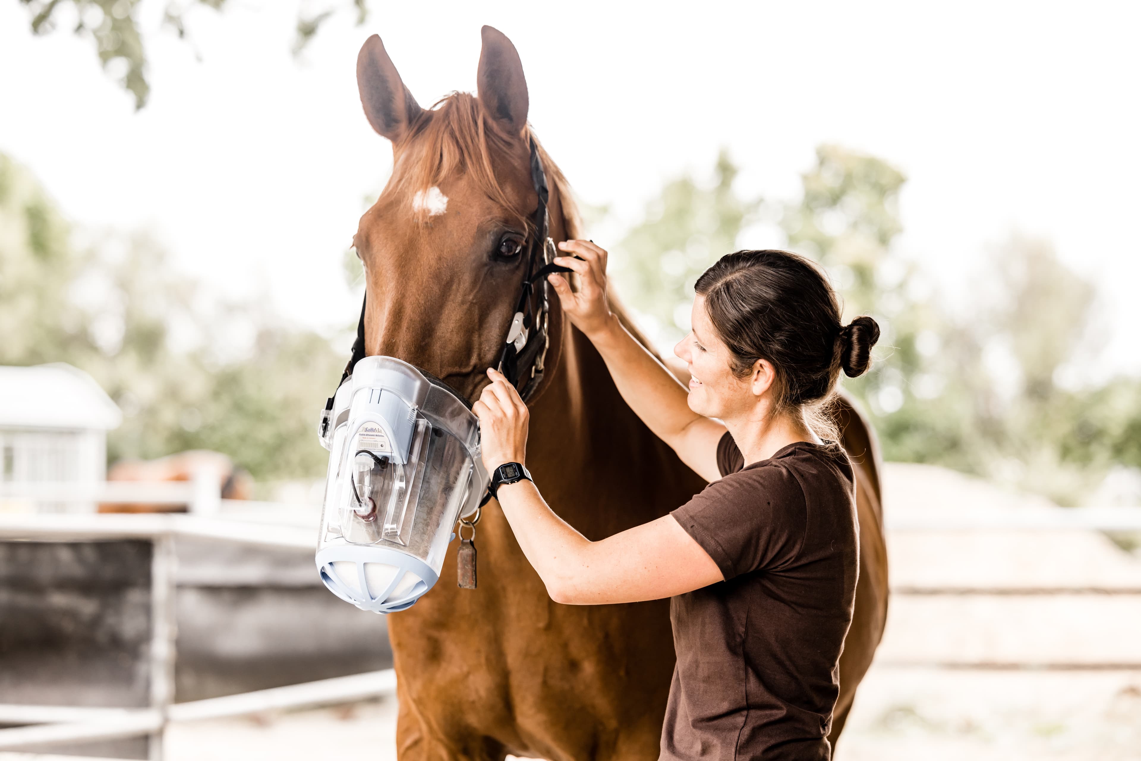 Dr. Veronika Klein mit Inhalationsmaske am Pferd