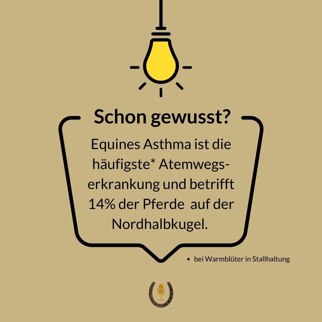 Schon gewusst? Fakten über Pferdelungen