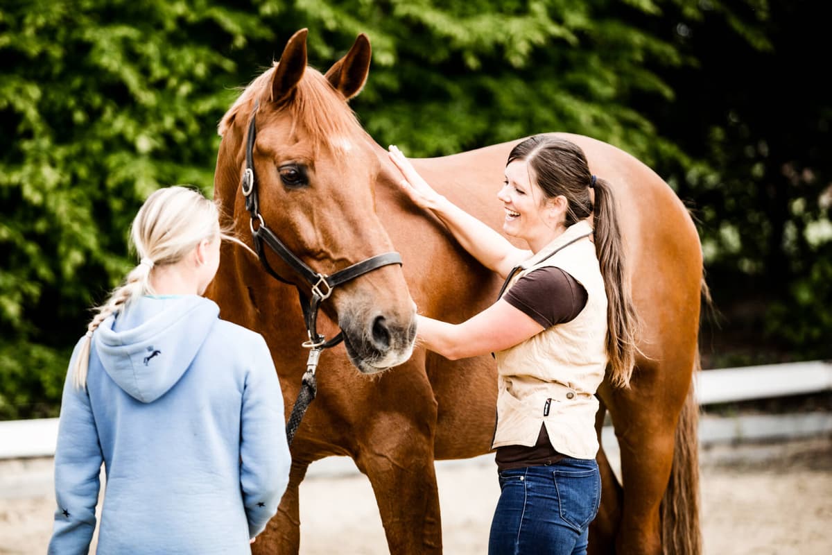 Pferdetraining – Gesundheit und Fitness