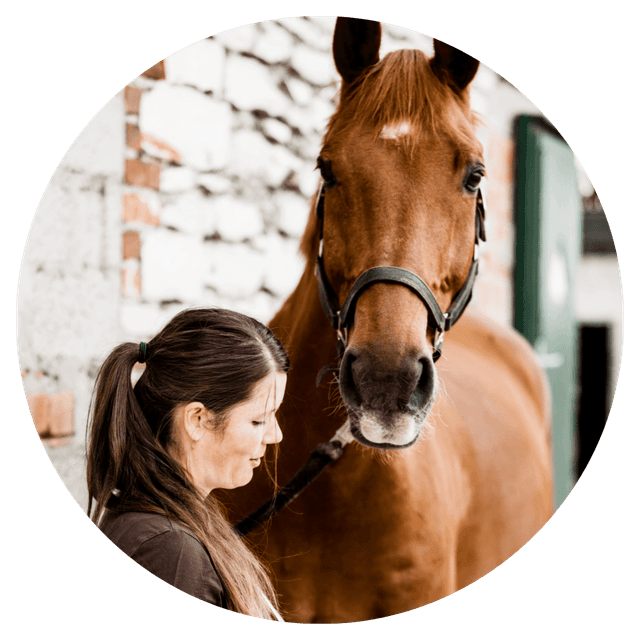Dr. Veronika Klein – Pferdetraining