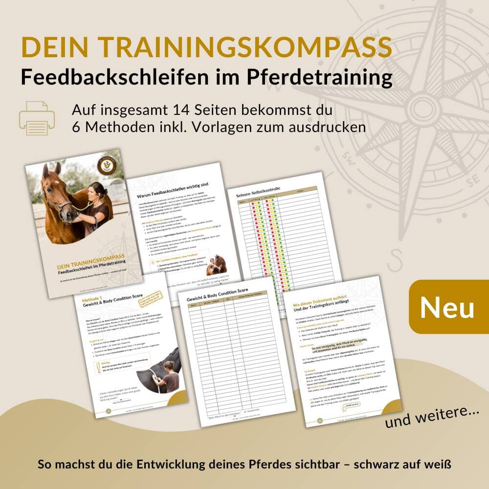Trainingskompass – 6 Methoden inkl. Vorlagen zur Dokumentation