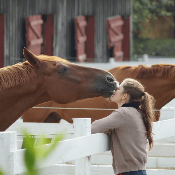 Veronika mit Pferd
