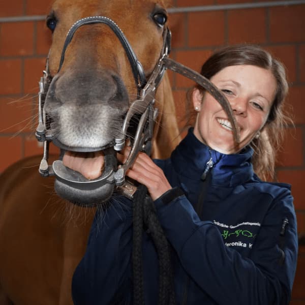 Zahnbehandlung beim Pferd