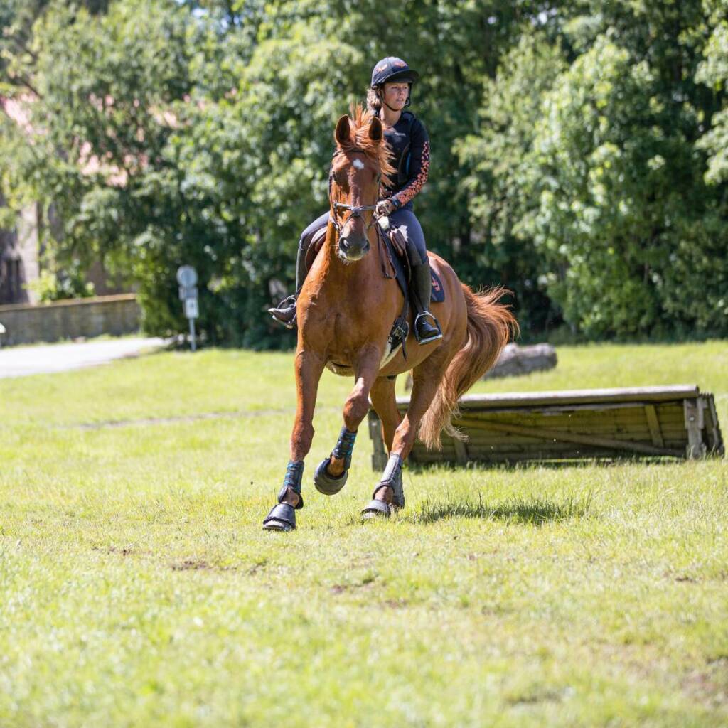 Pferd-Vielseitigkeit-reiten-galopp