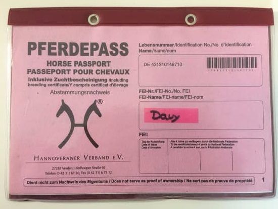 Pferdepass-rot