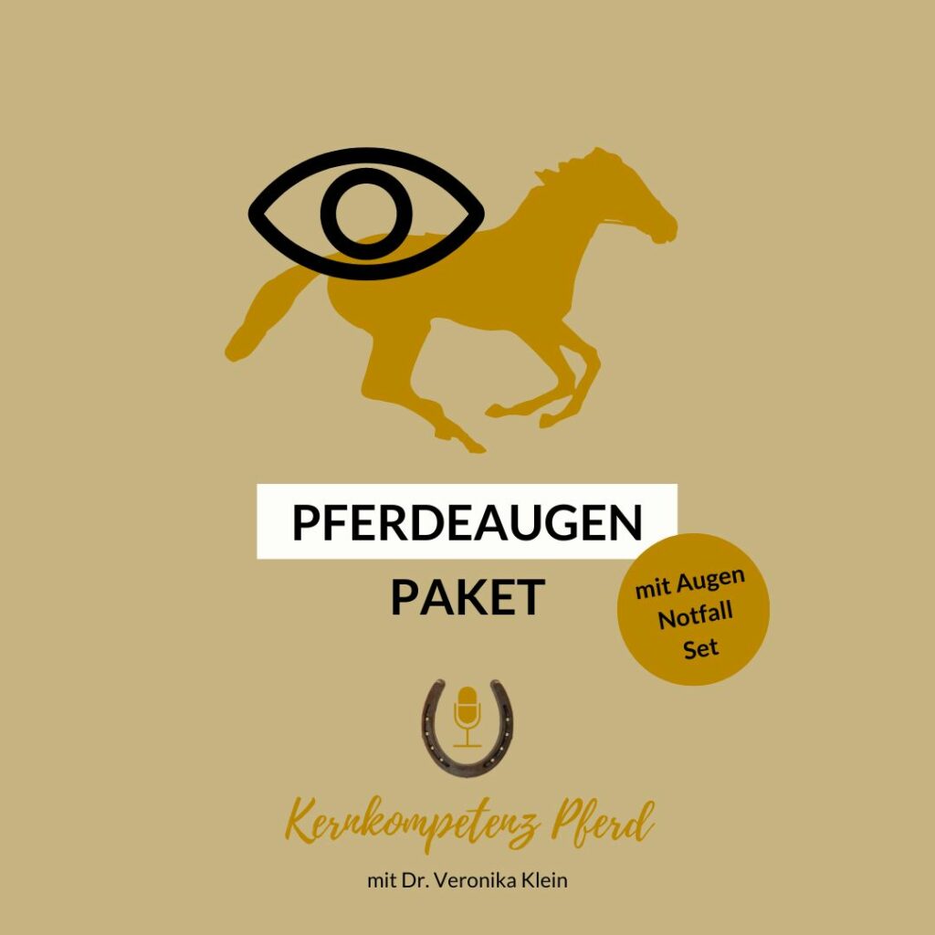 Pferdeauge geschwollen Behandlung