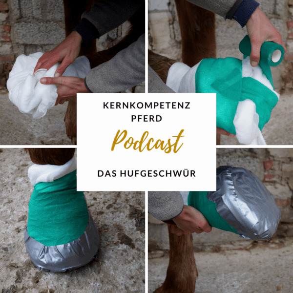 Hufverband Hufgeschwür
