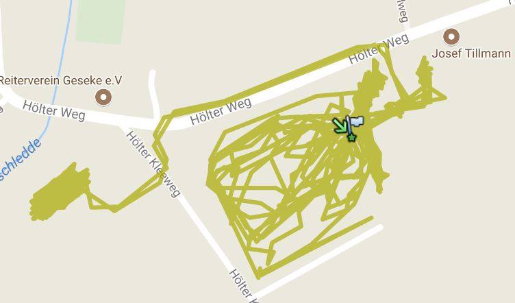 GPS -Messung-Paddock Trail -Pferdehaltung-Offenstall