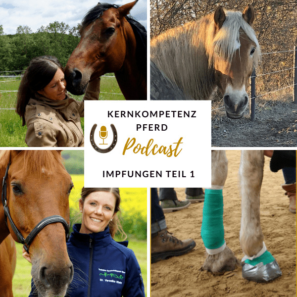 Impfung-pferd-Teil-1