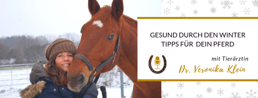 Tierärztin_Dr.Veronika Klein von Kernkompetenz Pferd_Winter_Verstopfungskoliken