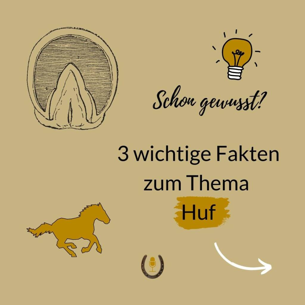 Funktion von Hufen