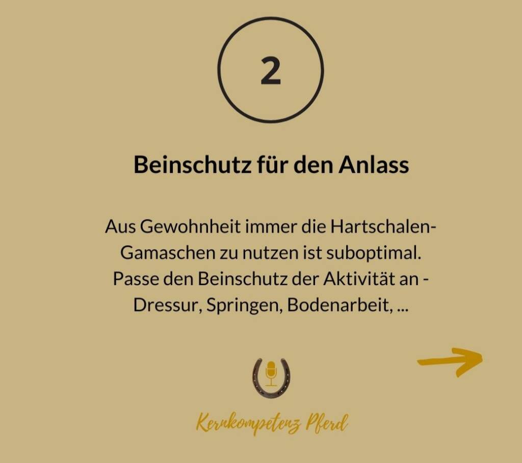 Hitzestau Pferdebein
