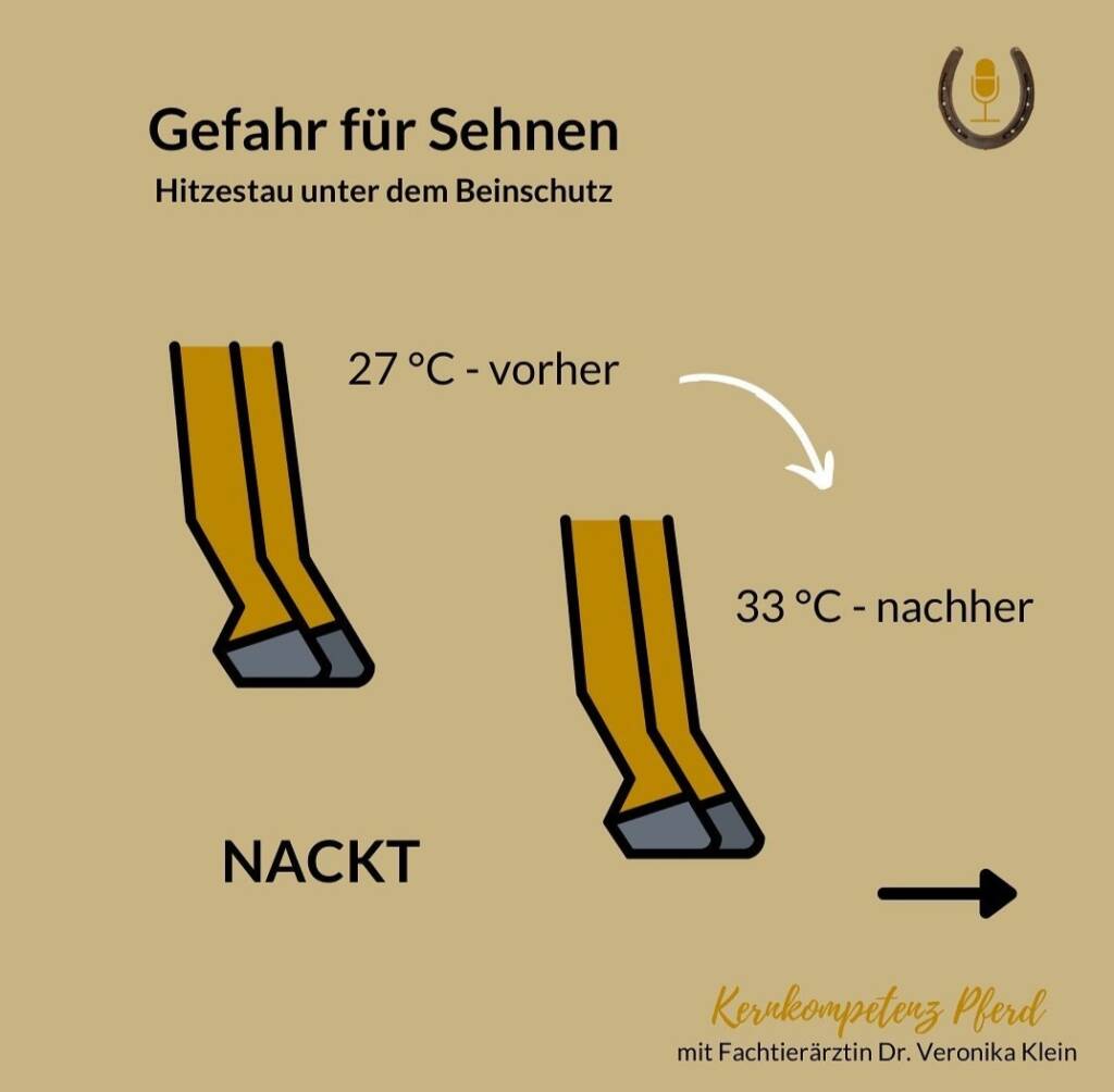 Hitzestau Pferdebein