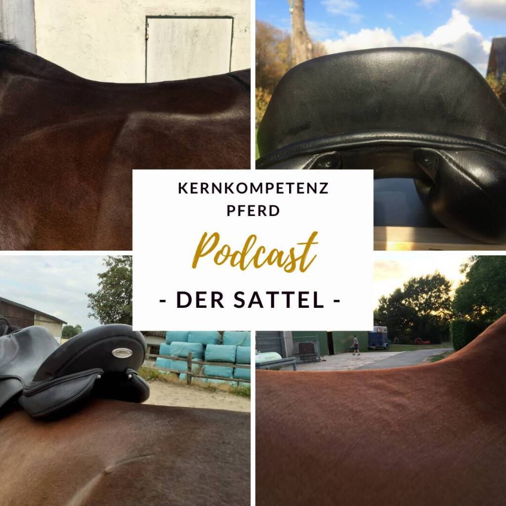Pferdesattel _anpassen